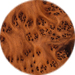 Thuya Burl