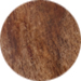 Ancient Sequoia